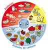 Los grupos de nutrientes